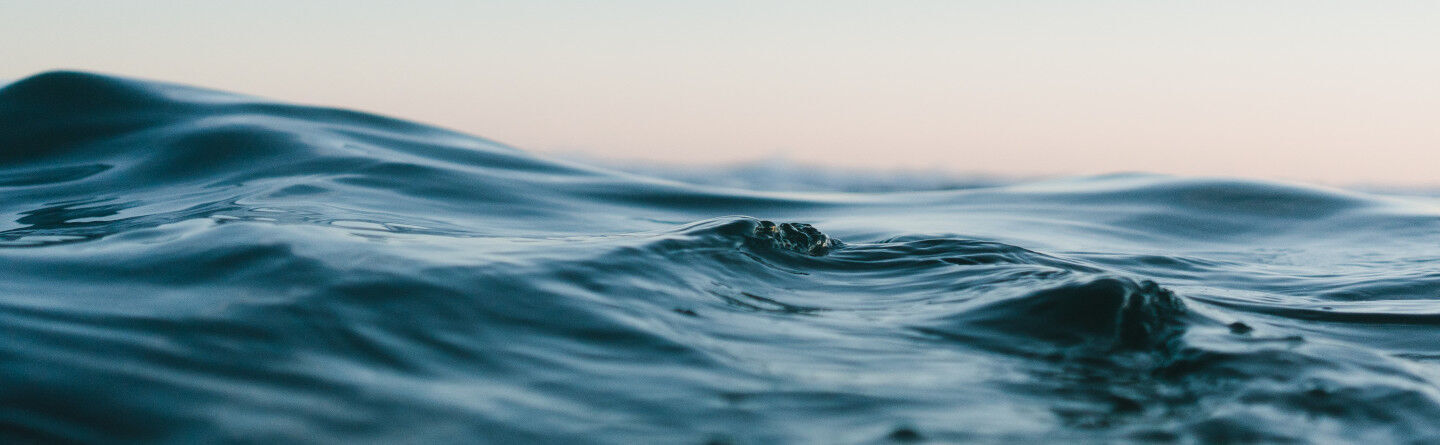 ส่วนบนสุดของเว็บไซต์